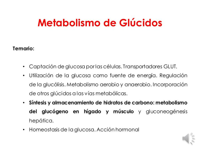 Metabolismo de Glúcidos