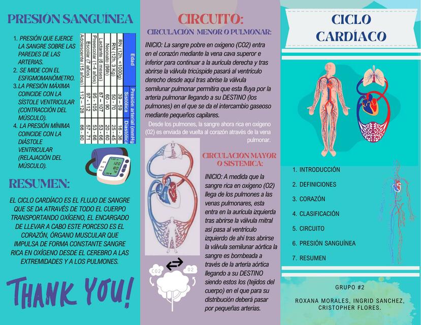 Tríptico ciclo cardíaco