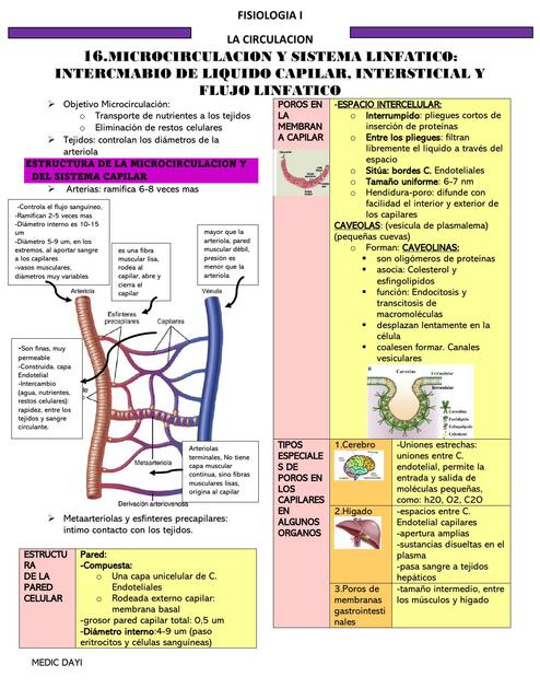 Microcirculación y sistema linfático:  intercambio de líquido capilar, intersticial y  flujo linfático