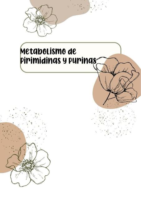 Metabolismo de Purinas y Pirimidinas