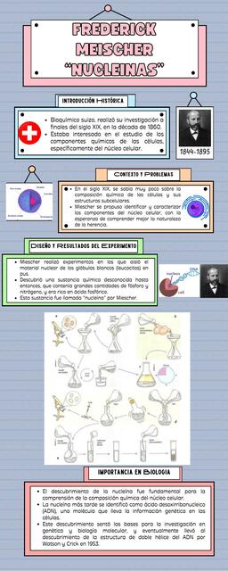 Frederick Meischer "Nucleinas"