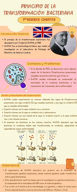 Principio de la Transformación Bacteriana- Frederick Griffith