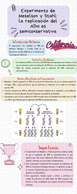 Experimento de Meselson y Stahl: La Replicación del ADN es Semiconservativa