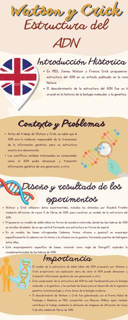 Watson y Crick: Estructura del ADN