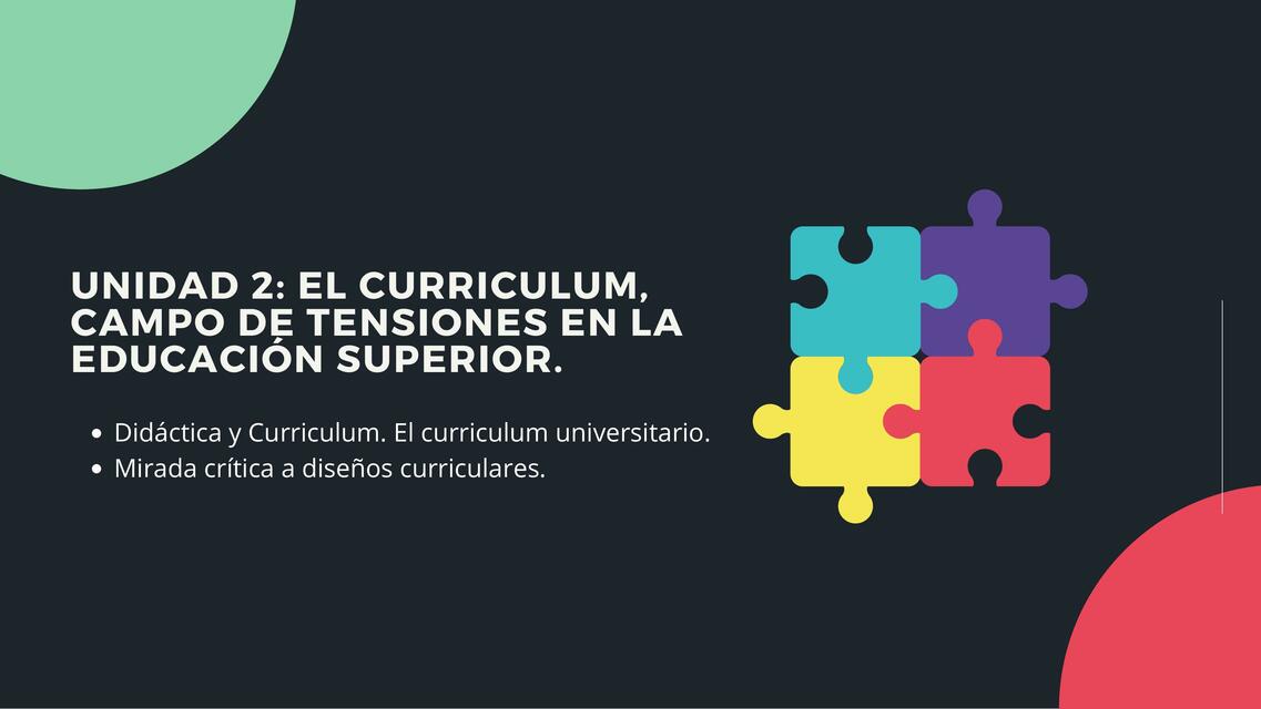 El curriculum campo de tensiones en la educación superior 