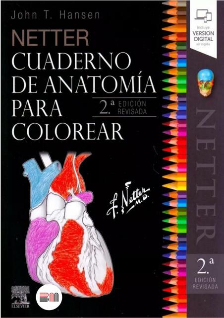 Cuaderno de Anatomía