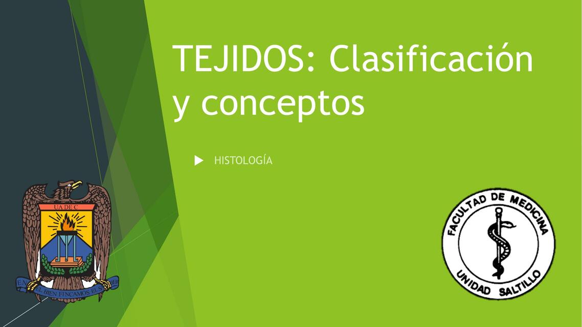 Tejidos: clasificación y conceptos 