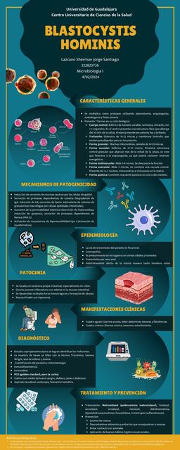 Blastocystis Hominis 