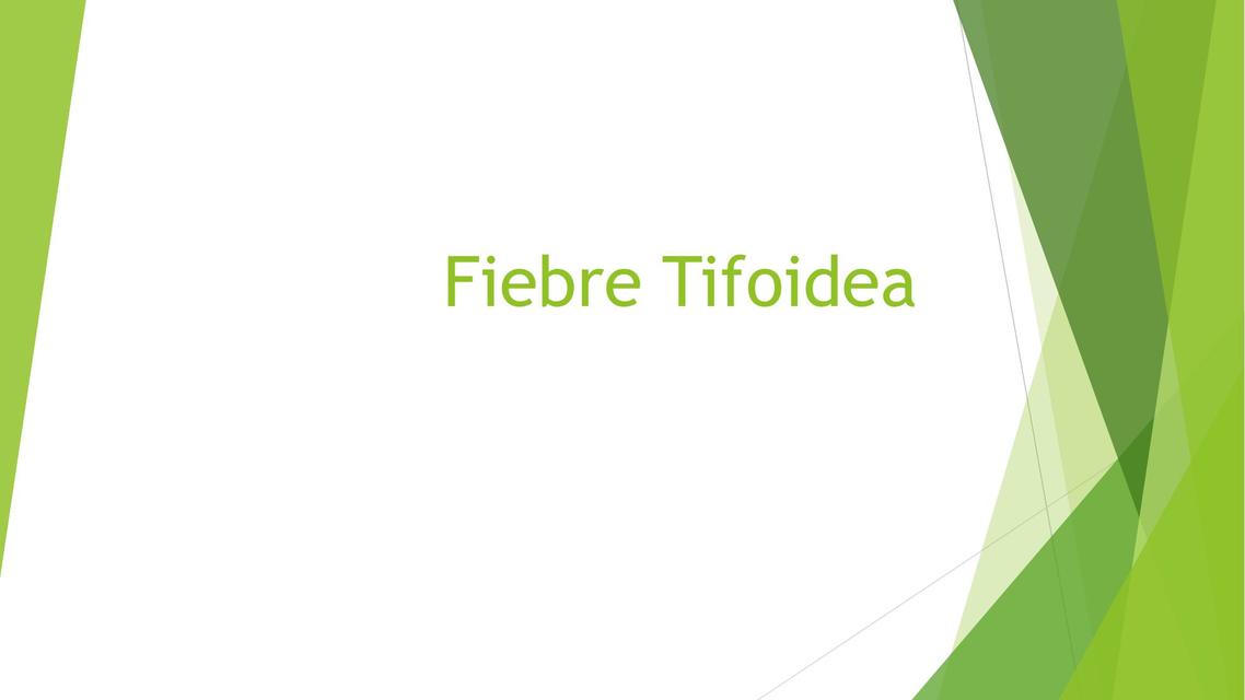 Generalidades fiebre tifoidea