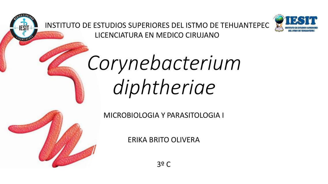 Corynebacterium Diphtheriae 