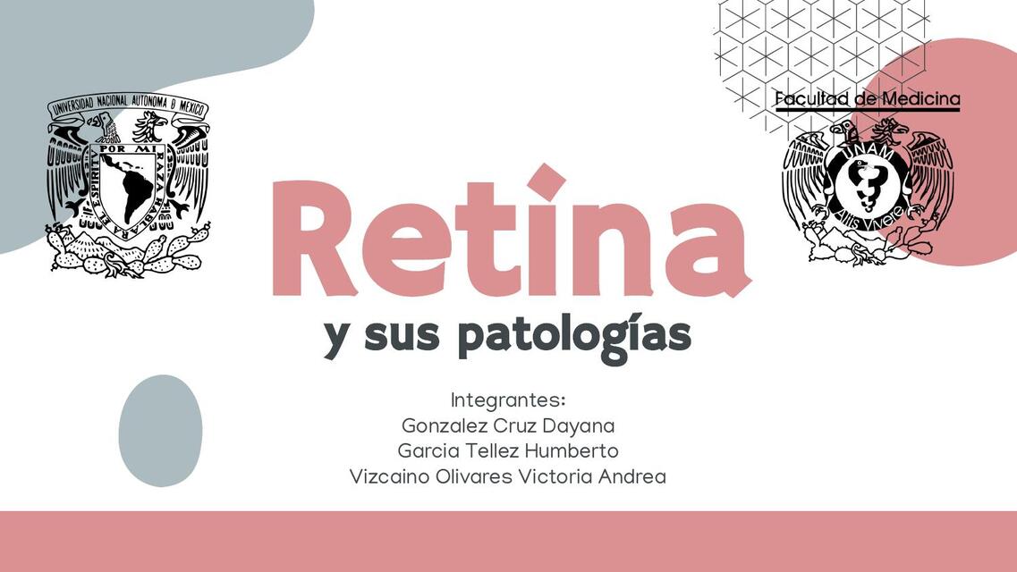 La retina y su patología