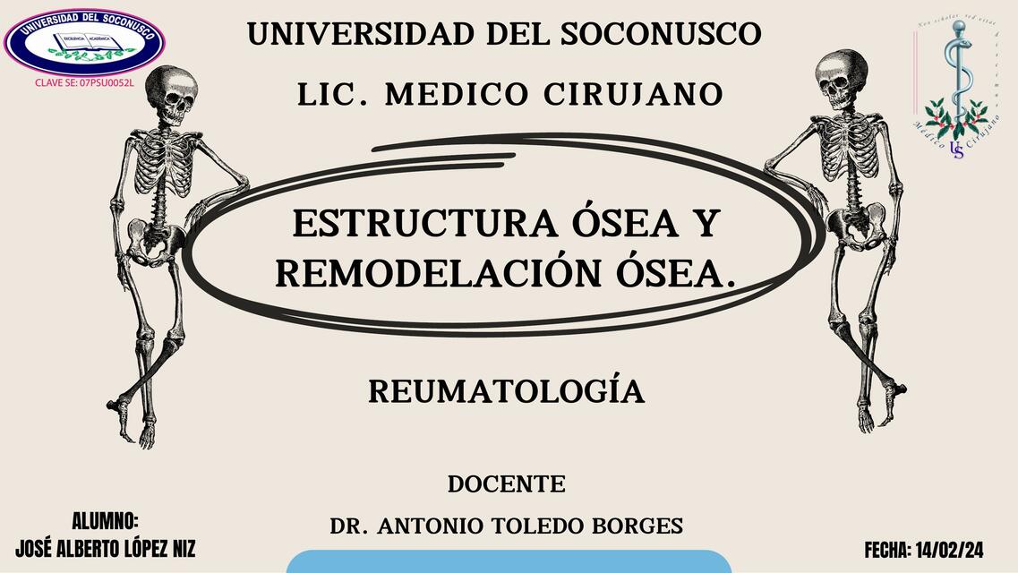 Estructura ósea y remodelación ósea