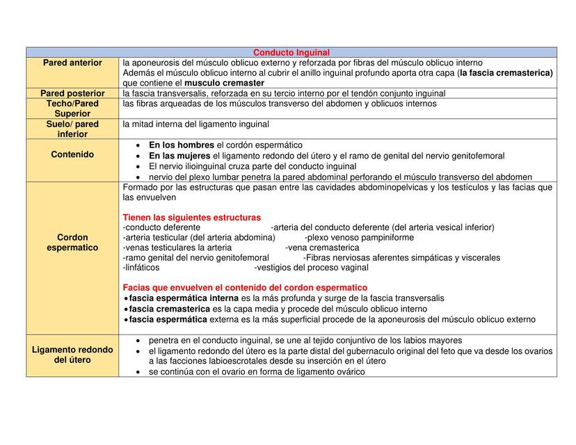 Conducto Inguinal 