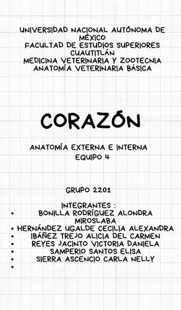 Infografía Anatomía externa e interna del Corazón