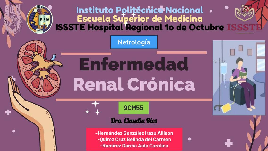 Enfermedad Renal Crónica ERN 1