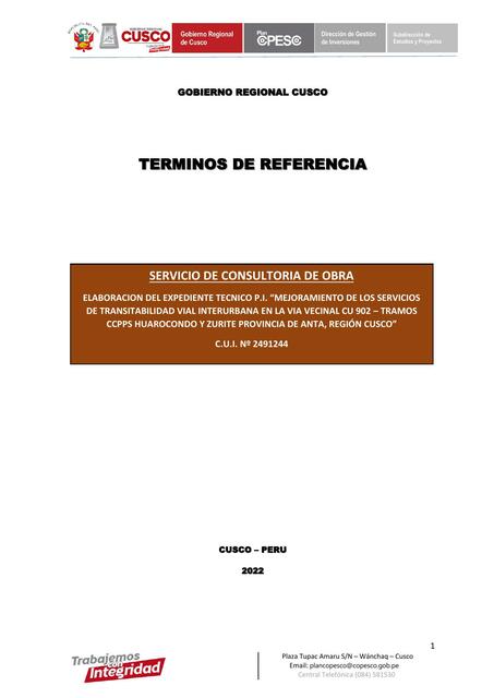 Términos de Referencia 