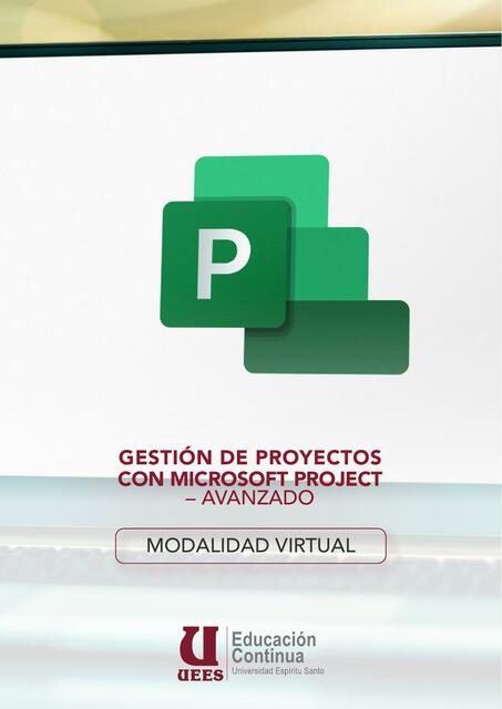 Gestión de Proyectos con Microsoft Project 