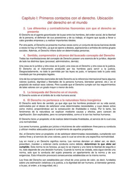 Resumen: Introducción al derecho - Recasens