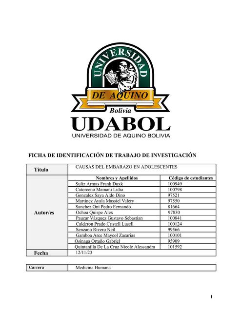 Causas del Embarazo en Adolescentes 