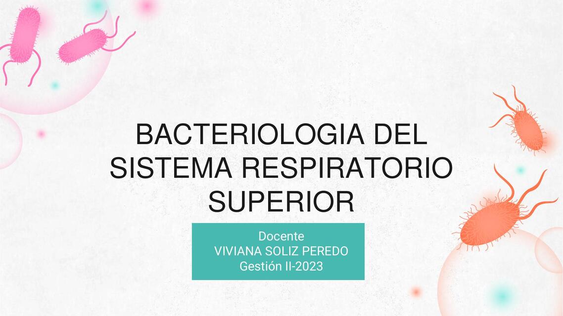 Bacteriología del sistema respiratorio superior 