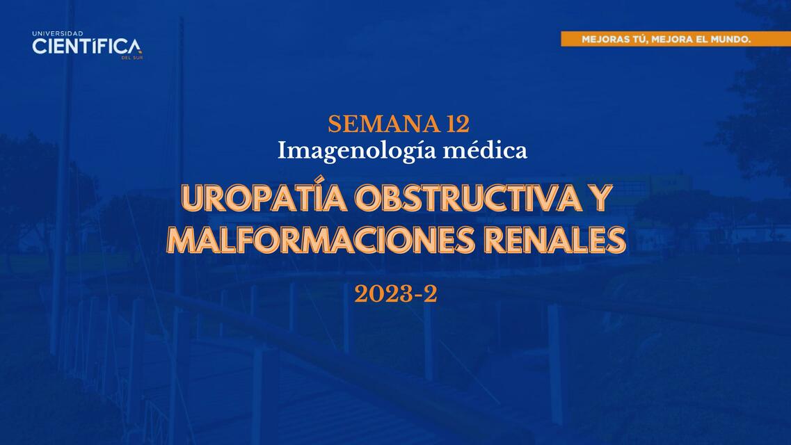 Uropatía Obstructiva y Malformaciones Renales 