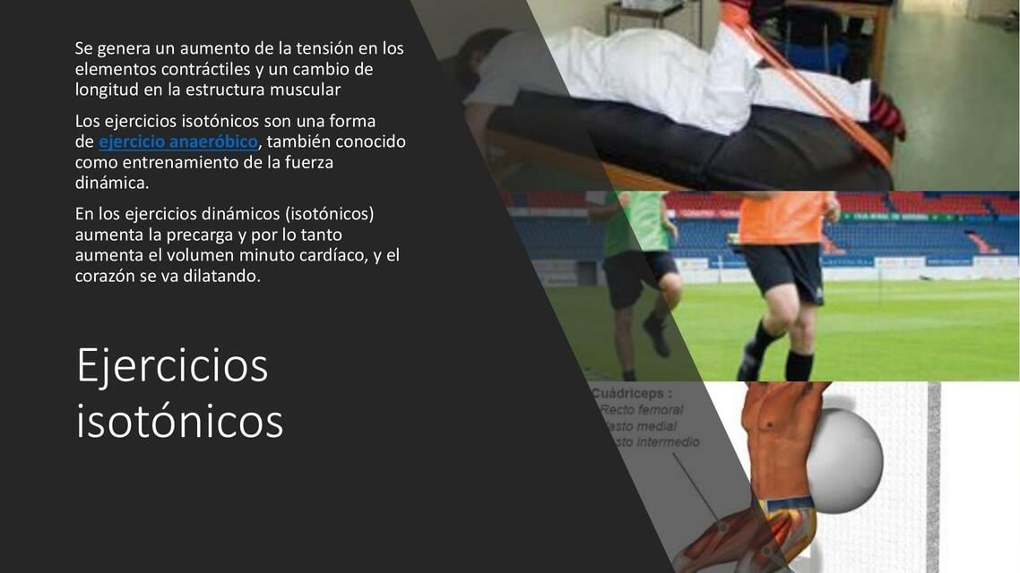Ejercicios Isot nicos 10 Ejemplos Para Estimular Su Entrenamiento IWZX ejercicios-isot-nicos-10-ejemplos-para-estimular-su-entrenamiento-iwzx