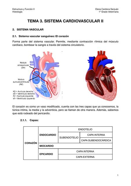 Tema 3. Sistema cardiovascular II