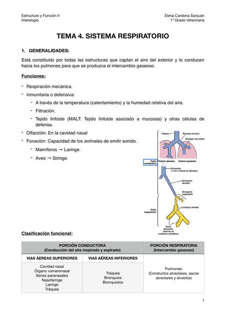 Tema 4. Sistema respiratorio