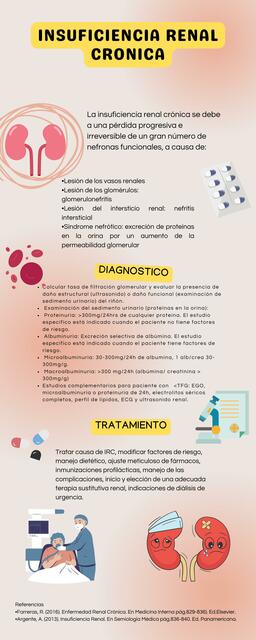 Infografía Insuficiencia Renal Crónica Paulina Puga Udocz