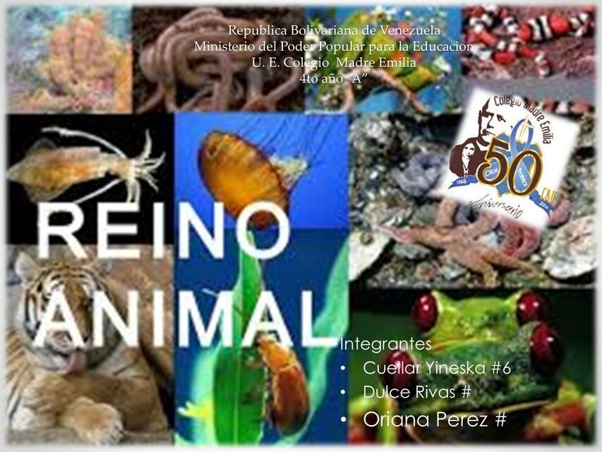 Reino Animalia