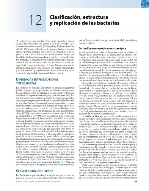 Clasificación, Estructura y Replicación de las Bacterias 