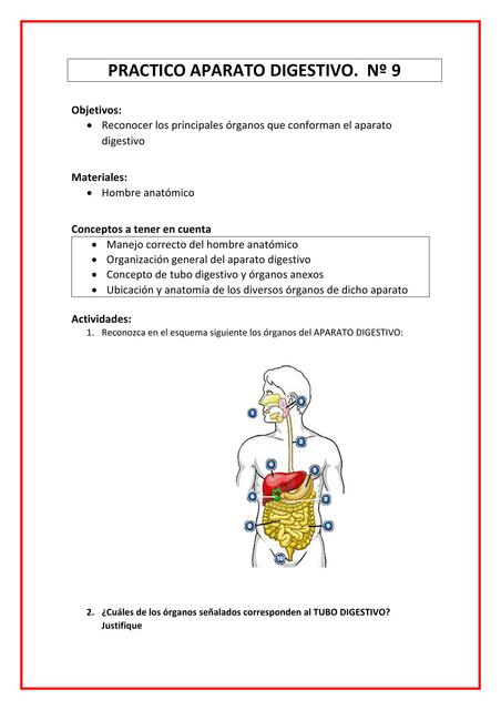 Práctico Aparato Digestivo 