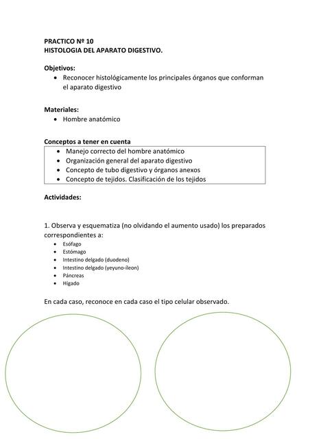 Histología del Aparato Digestivo 