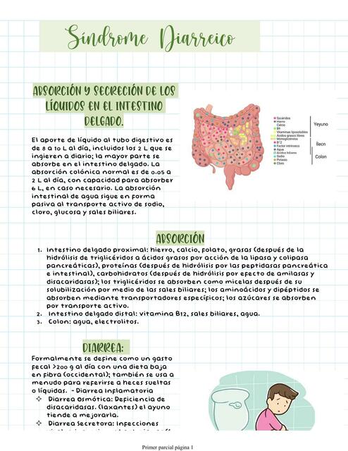 Síndrome Diarreico