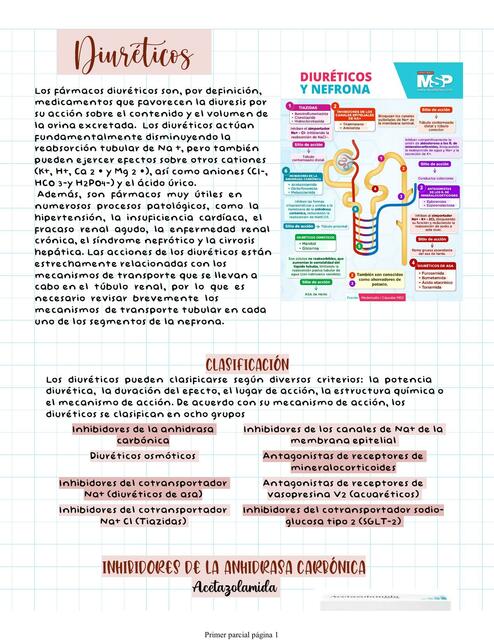 Diuréticos y Antihipertensivos