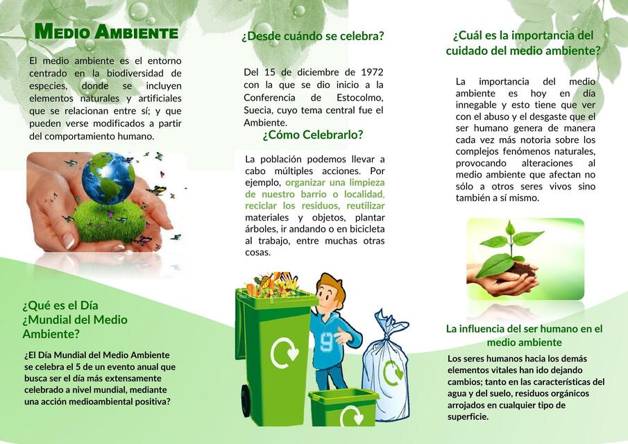 Medio Ambiente 