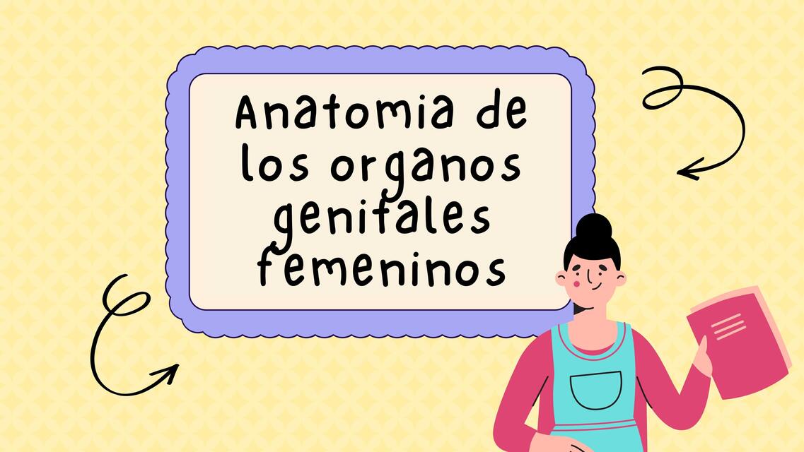 Anatomia de los órganos Genitales Femeninos