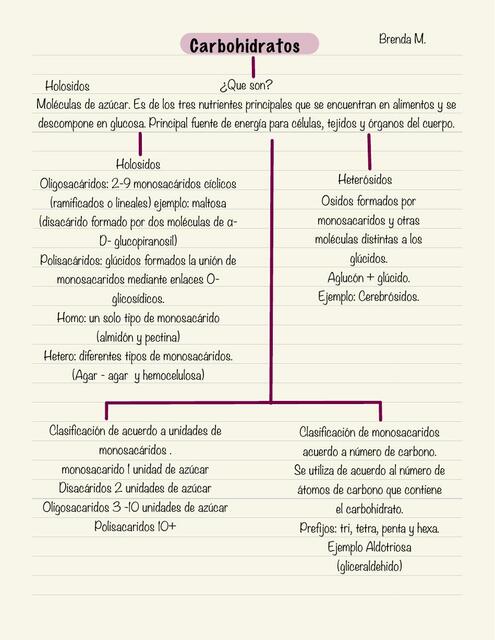 Mapa conceptual Carbohidratos