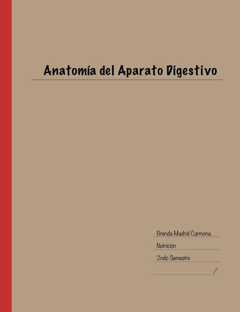 Anatomía Del aparato Digestivo 