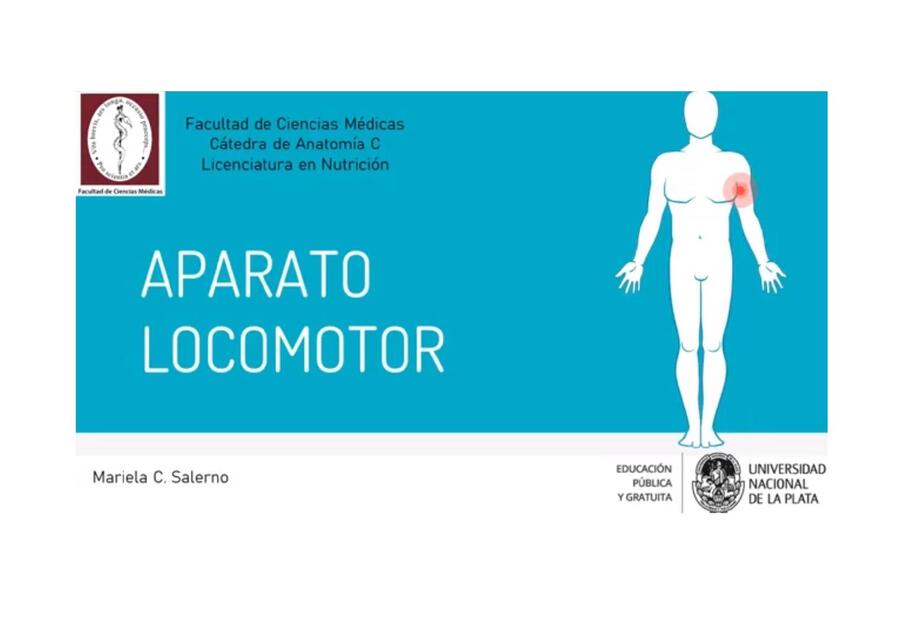 Aparato  Locomotor huesos y articulaciones 