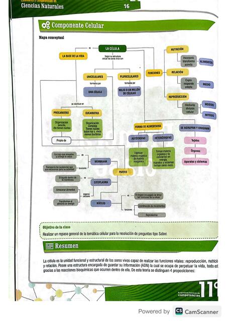 La Célula - Ciencias Naturales