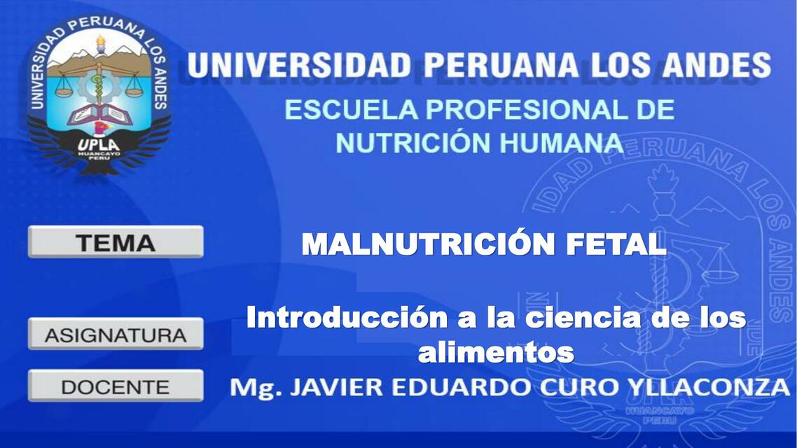 Malnutrición Fetal 