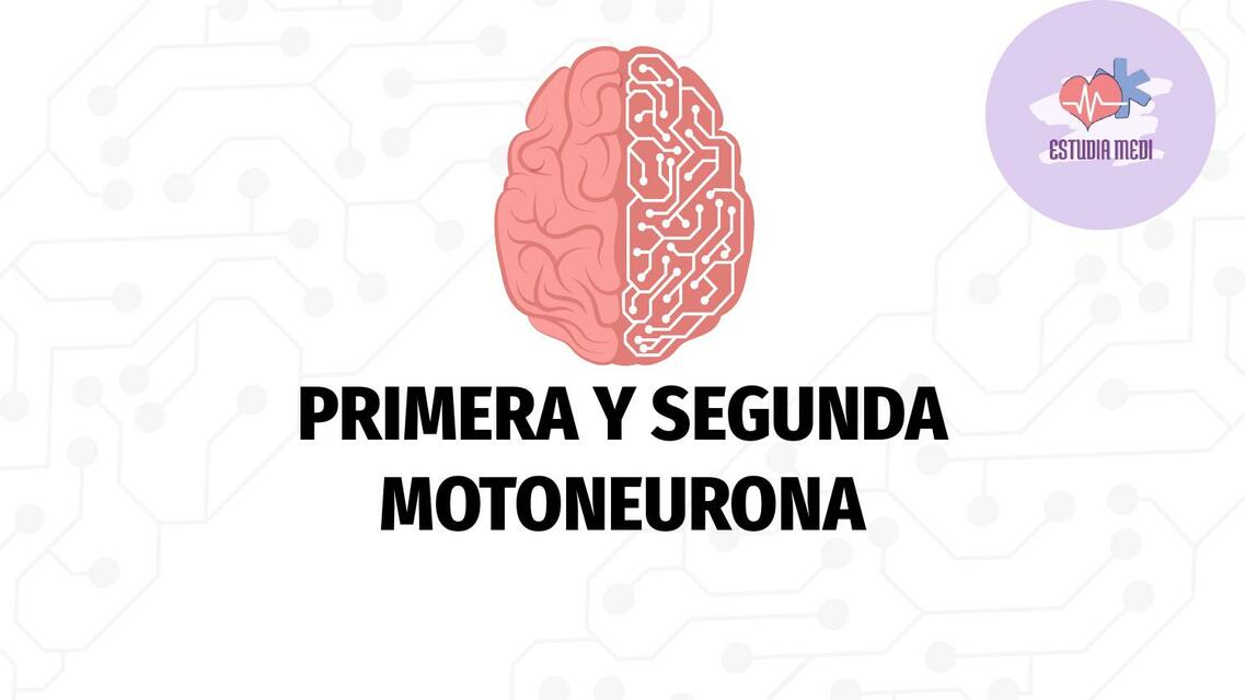 Primera y segunda motoneurona | Estudiamedi Medicina | uDocz