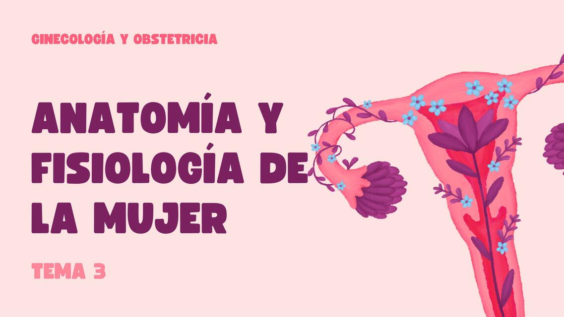 Anatomía y Fisiología de la Mujer 