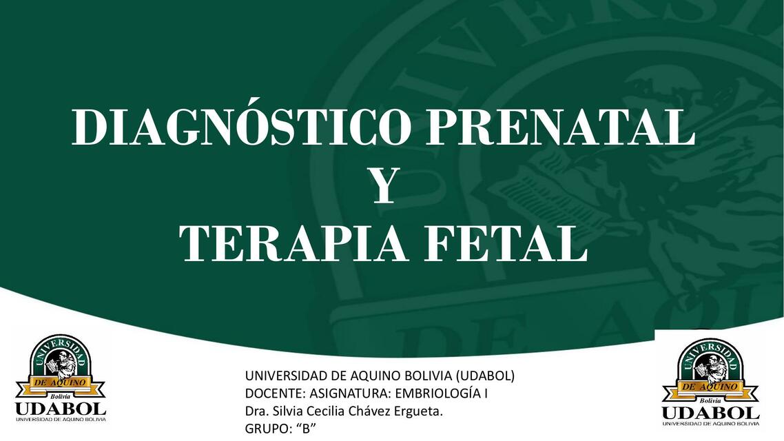 Diagnóstico Prenatal y Terapia Fetal 