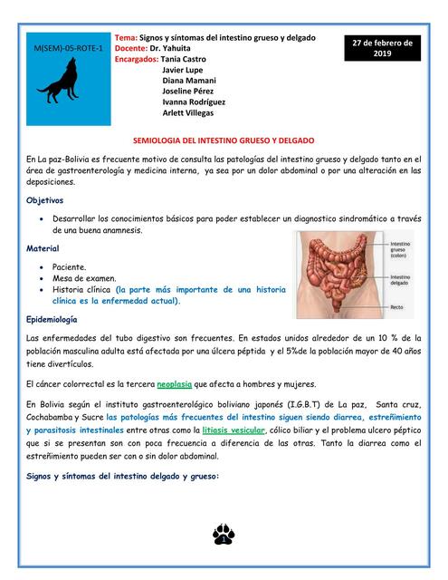 Semiología del Intestino Grueso y Delgado 