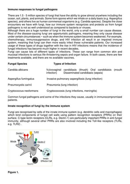 Immune Responses To Fungal Pathogens 