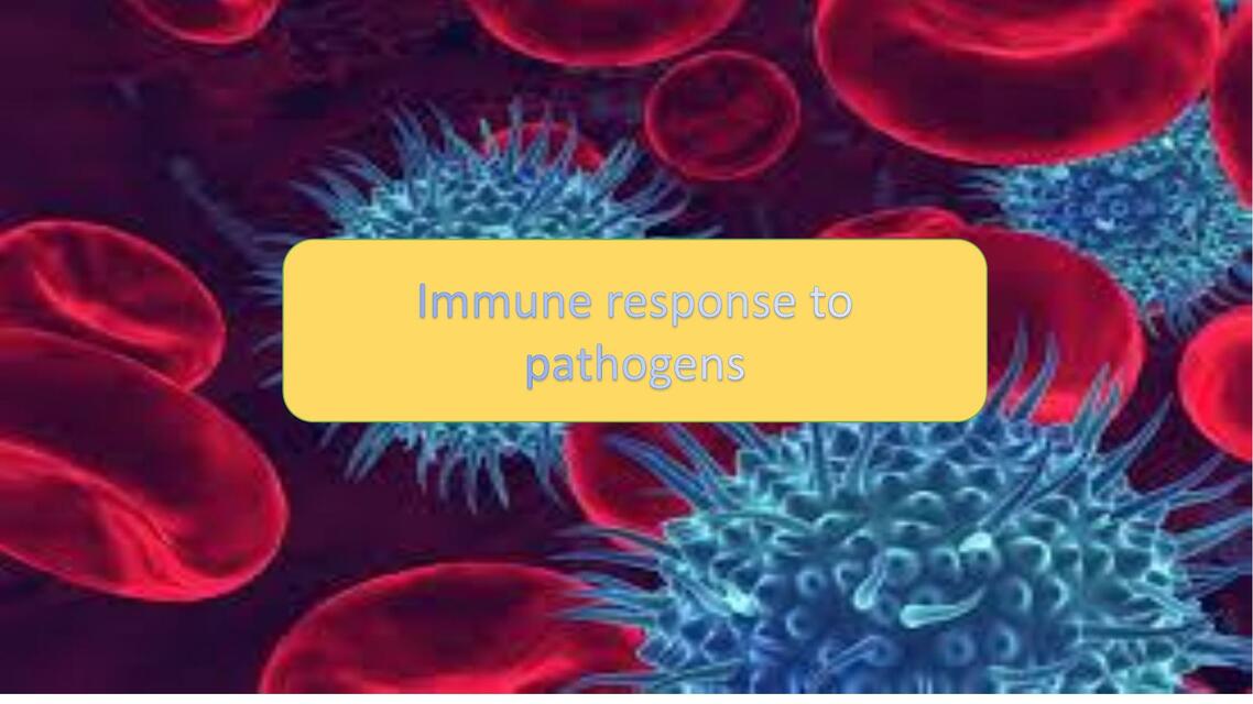 Immune Response To Pathogens 