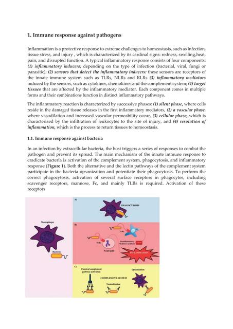 Immune Response Against Pathogens