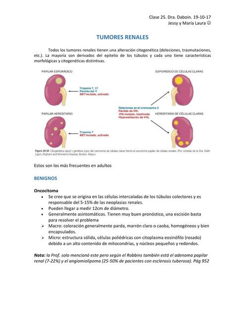 Tumores Renales 